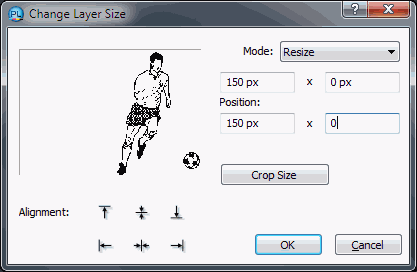 Layer Size Panel