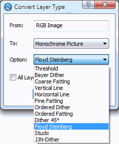 Convert Layer Type