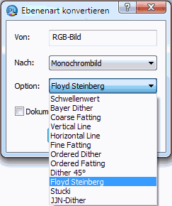 Ebenenart konvertieren