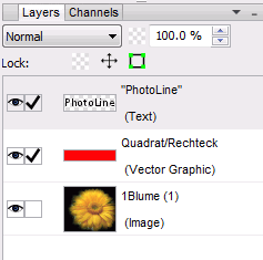 Layer Panel