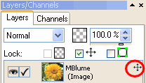 Layer Panel