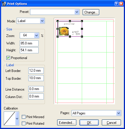 Print Options